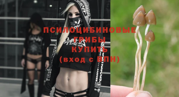 mix Верея