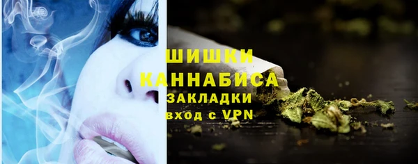 стафф Бородино