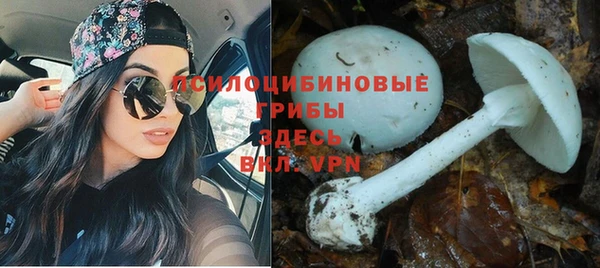 прущий лед Верхний Тагил